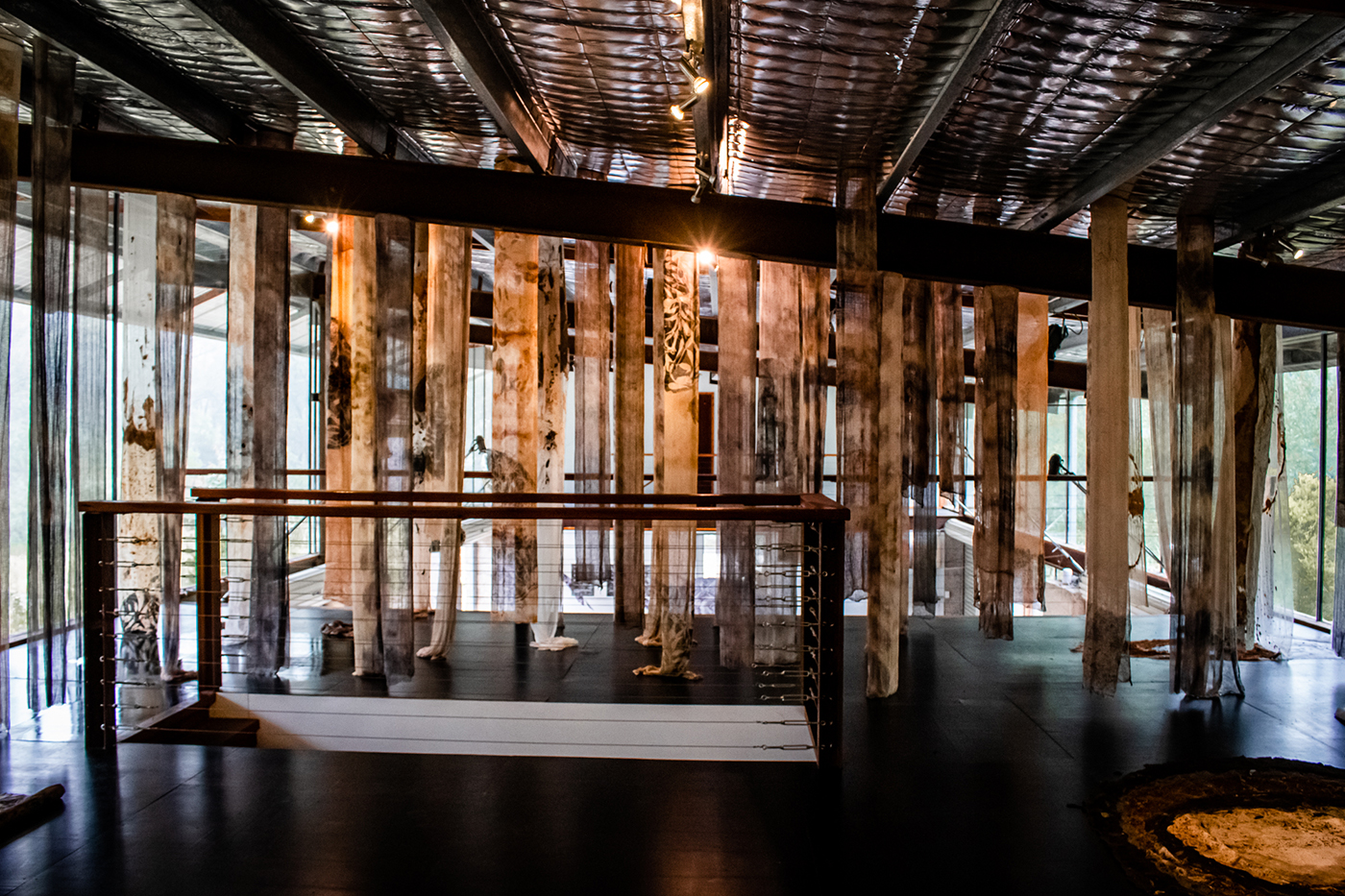 Forest Ambassadors, BigCi Environmental Residency, Blue Mountains — Gloria Florez