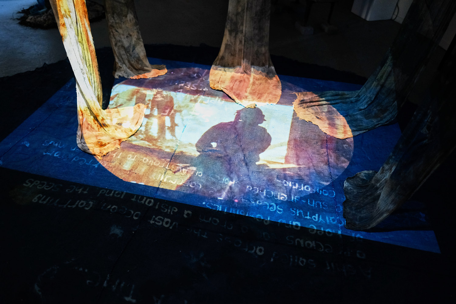 Leonardo@Djerassi Arts & Science Residency, California — Gloria Florez