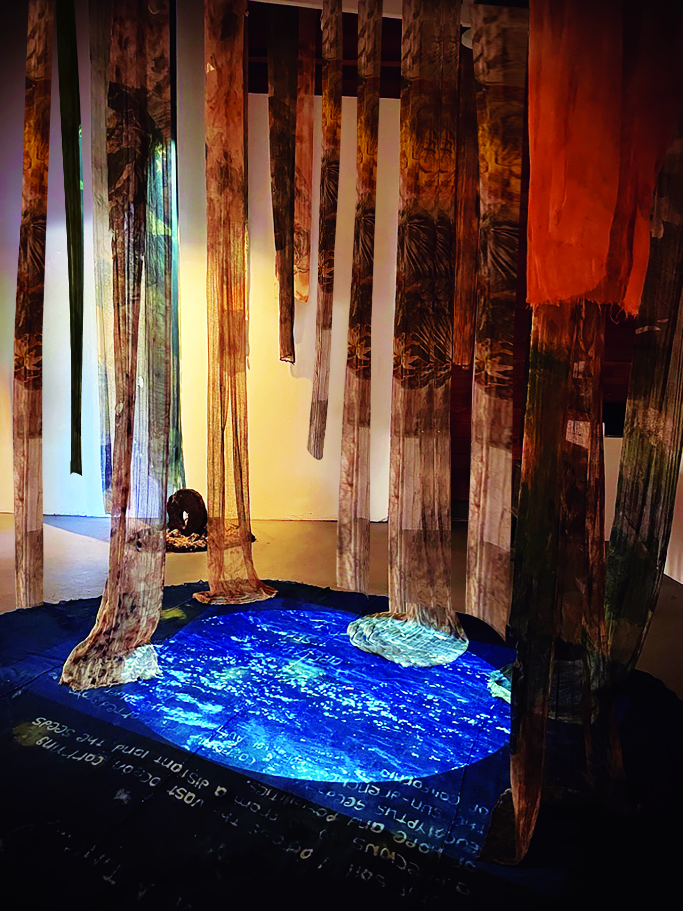 Studio work, Leonardo@Djerassi Residency, Woodside CA — Gloria Florez