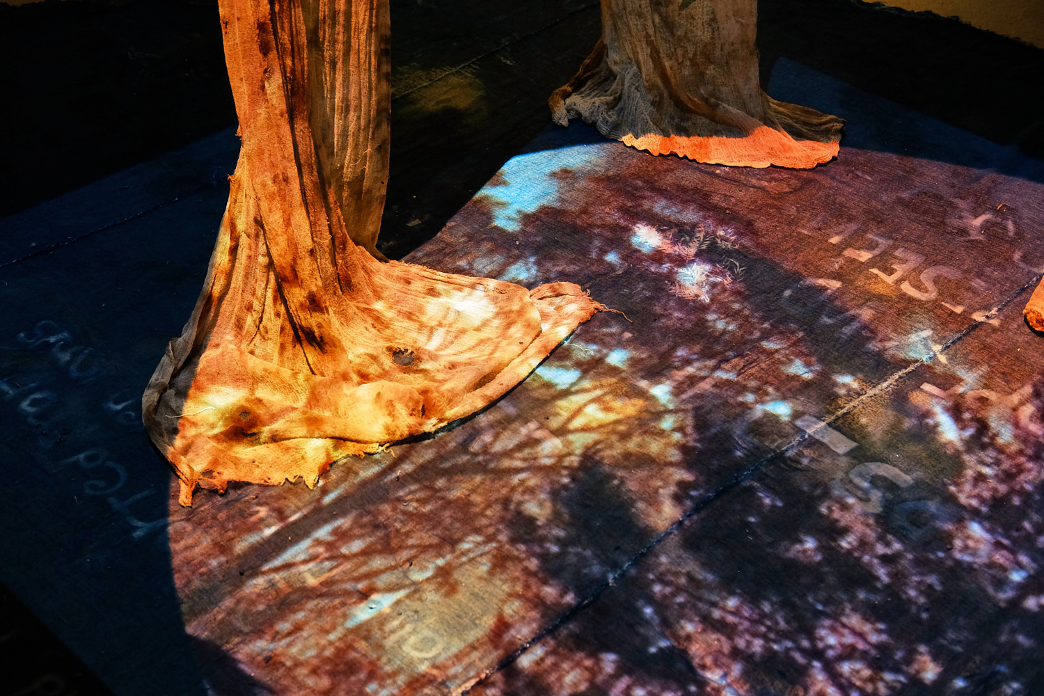 Forest Ambassadors research, Djerassi Resident Artists Program — Gloria Florez