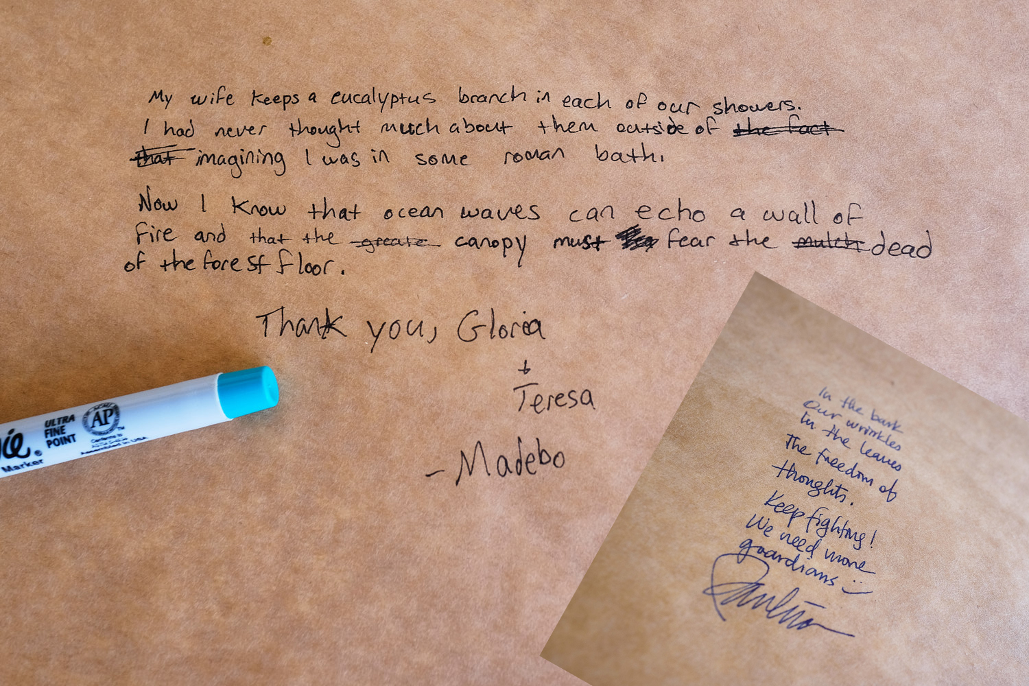 Nature-based installation, Leonardo@Djerassi Residency — Gloria Florez