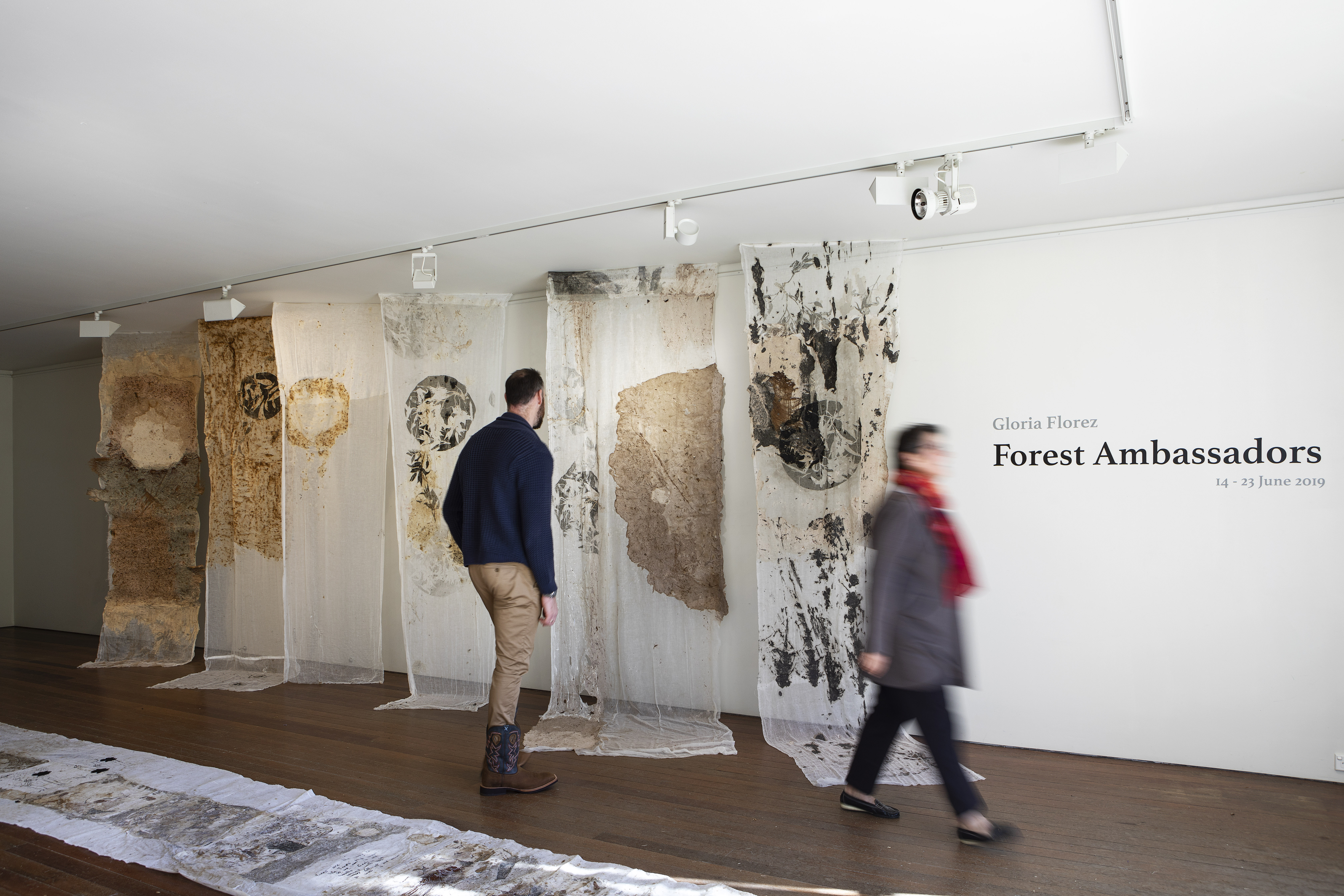 Forest Ambassadors installation, Eramboo Artist Environment, Sydney — Gloria Florez
