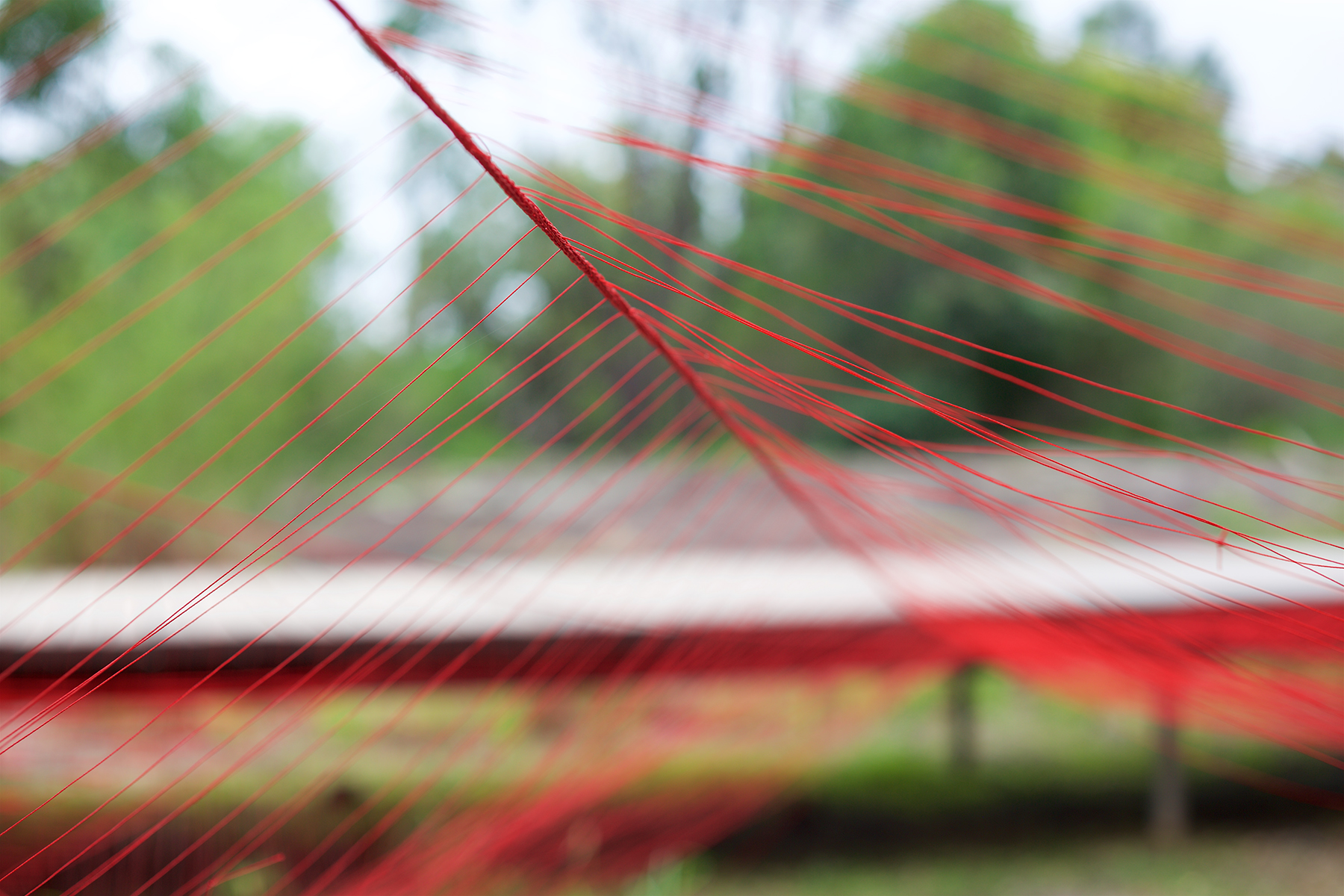 Living Tapestry, North Sydney Environmental Art Prize — Gloria Florez
