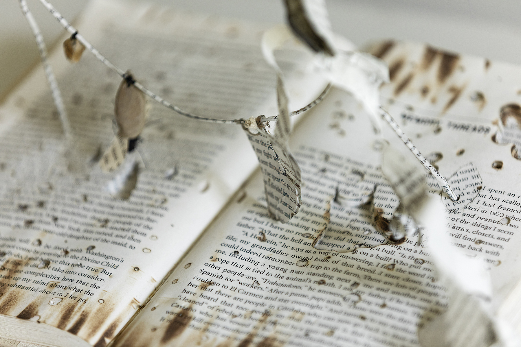 Memory series, textile and natural fibre — Gloria Florez