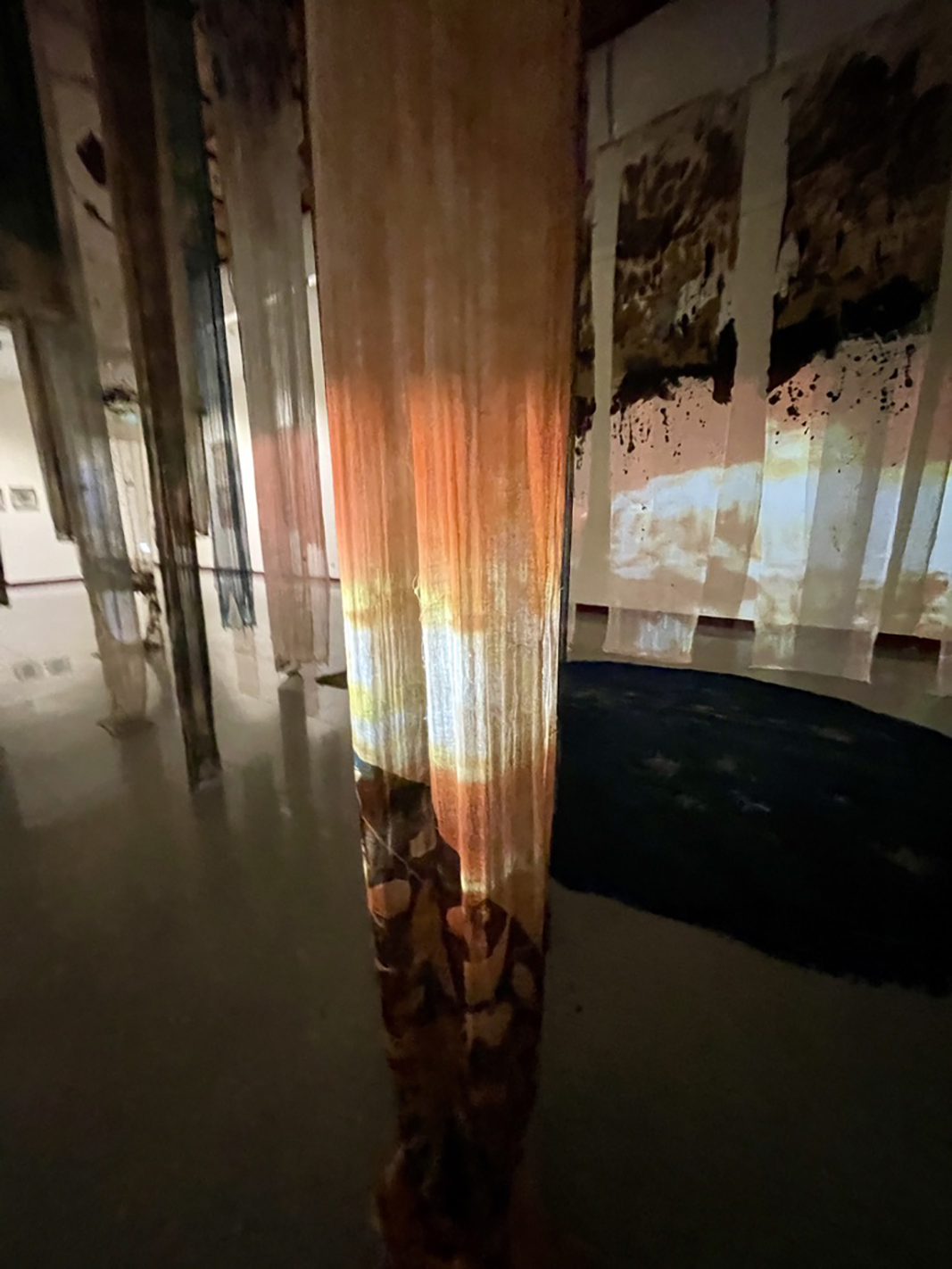 Forest Ambassadors, Earth Speak exhibition, Chiang Kai-Shek Memorial Hall, Taiwan — Gloria Florez